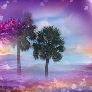 Meet your Posher, Nahreen